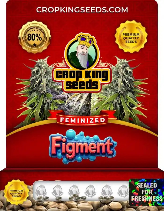 Figment Strain Feminized Seeds