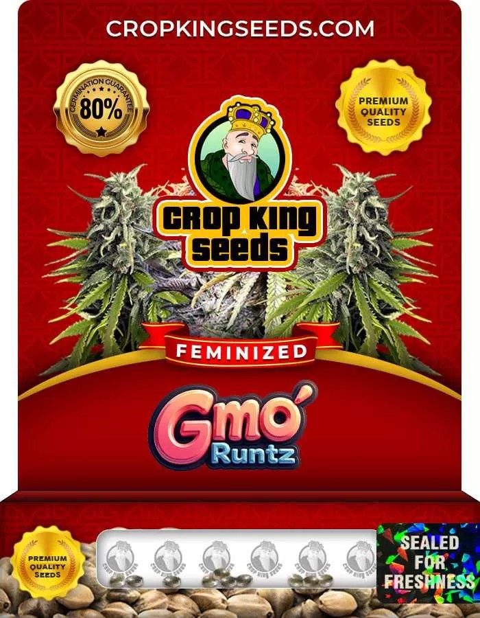 GMO Runtz Feminized Seeds