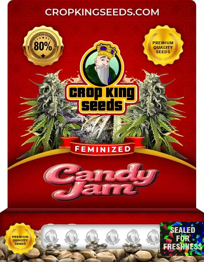 Candy Jam Feminized Seeds