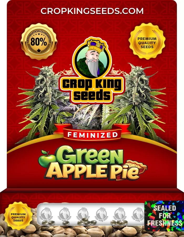 Green Apple Pie Feminized Marijuana Seeds