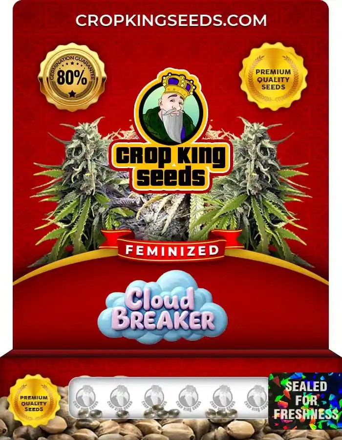 Cloud Breaker Strain Feminized Seeds