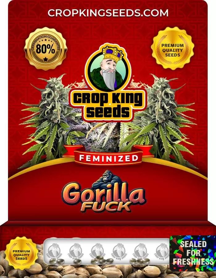 Gorilla Fuck Feminized Seeds
