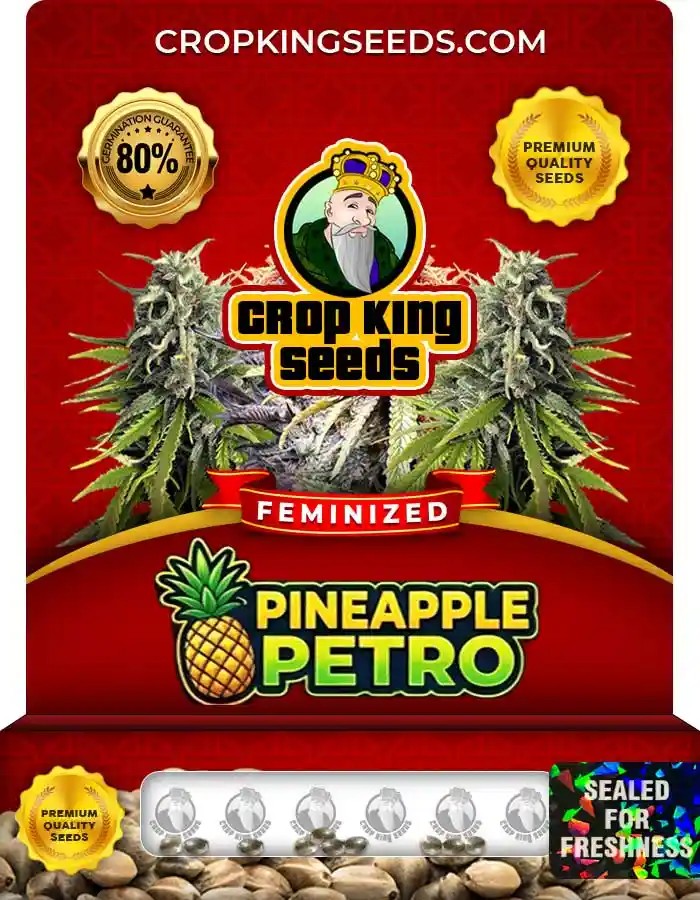 Pineapple Petro Strain Feminized Seeds
