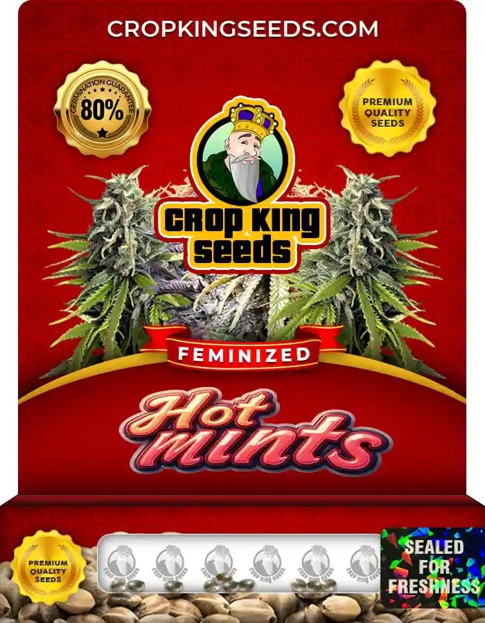 Hot Mints Feminized Seeds