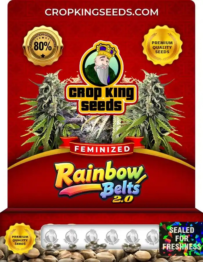 Rainbow Belts 2.0 Strain Feminized Marijuana Seeds