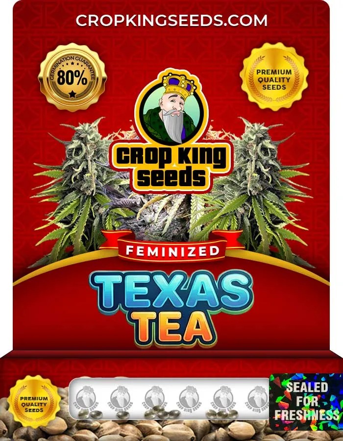 Texas Tea Strain Feminized Seeds