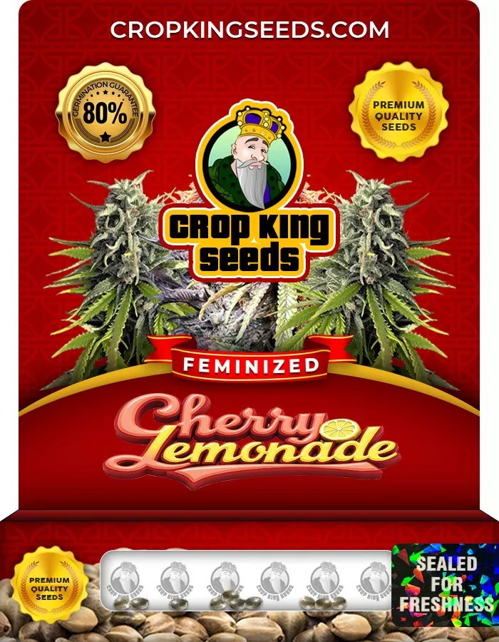 Cherry Lemonade Feminized Marijuana Seeds