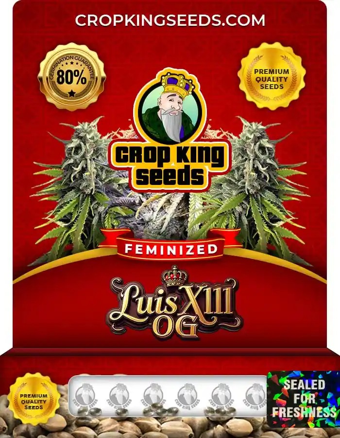 Luis XIII OG Strain Feminized Seeds