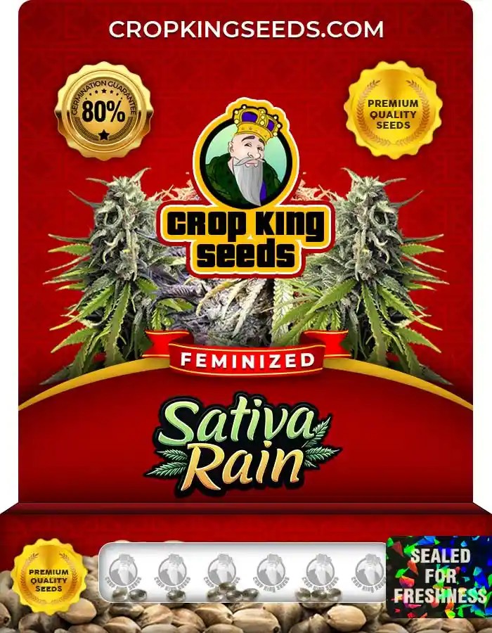 Sativa Rain Strain Feminized Seeds