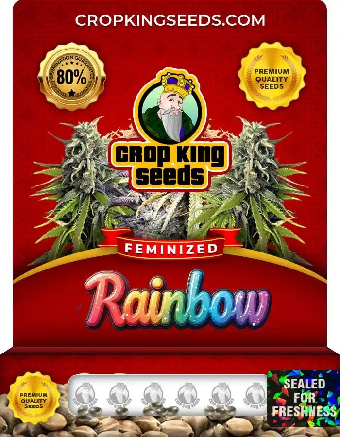Rainbow Feminized Seeds