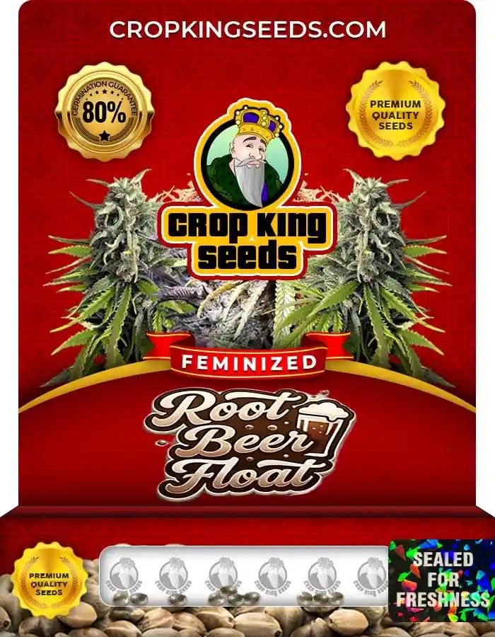 Root Beer Float Feminized Seeds