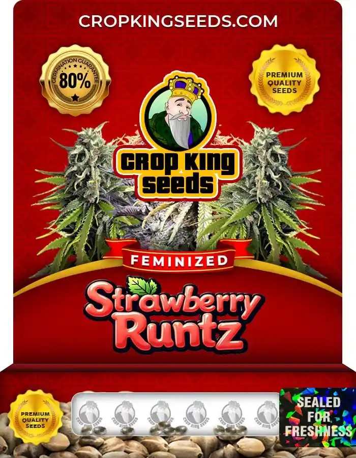 Strawberry Runtz Strain Feminized Marijuana Seeds