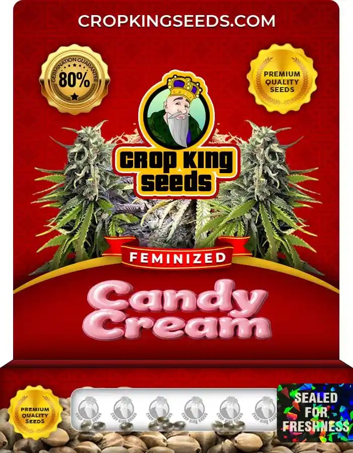 Candy Cream Feminized Seeds