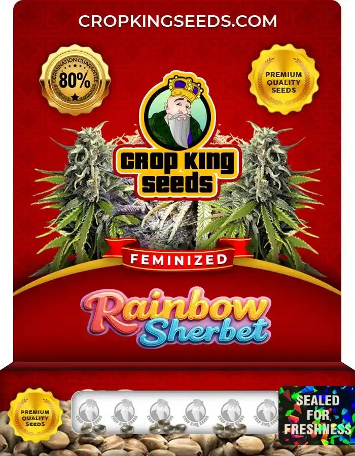 Rainbow Sherbet Strain Feminized Marijuana Seeds