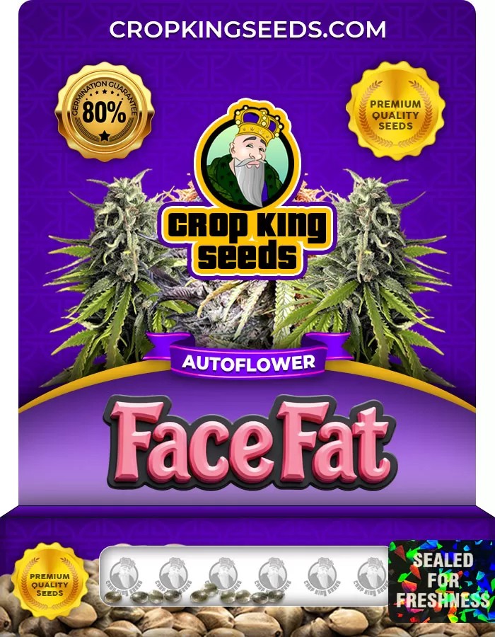 Face Fat Autoflowering Feminized Marijuana Seeds