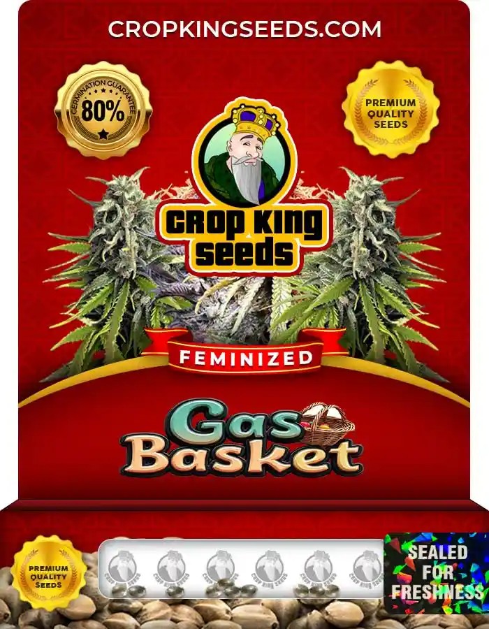 Gas Basket Strain Feminized Marijuana Seeds