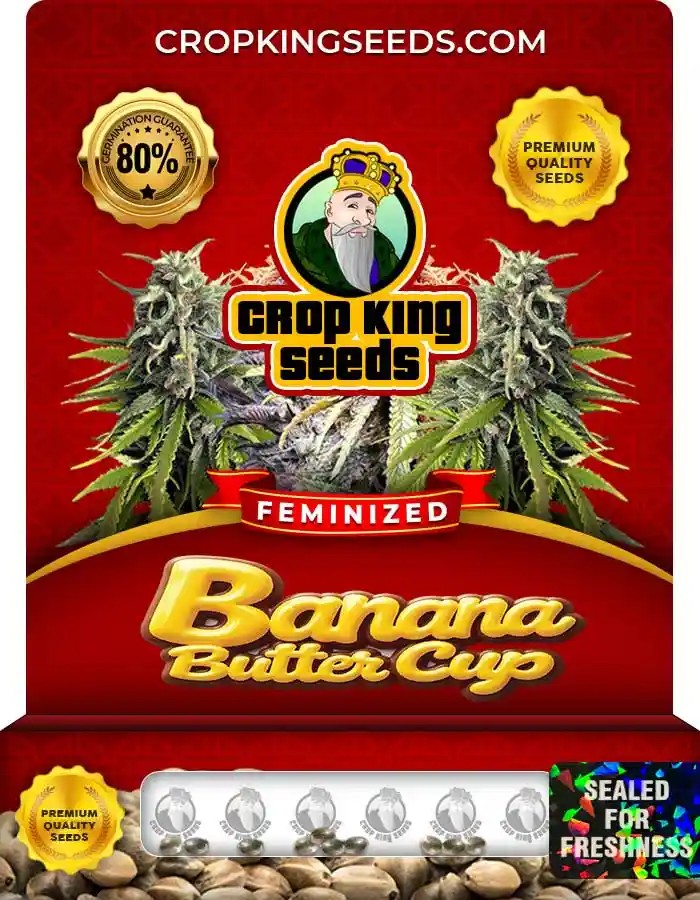 Banana Butter Cup Feminized Seeds