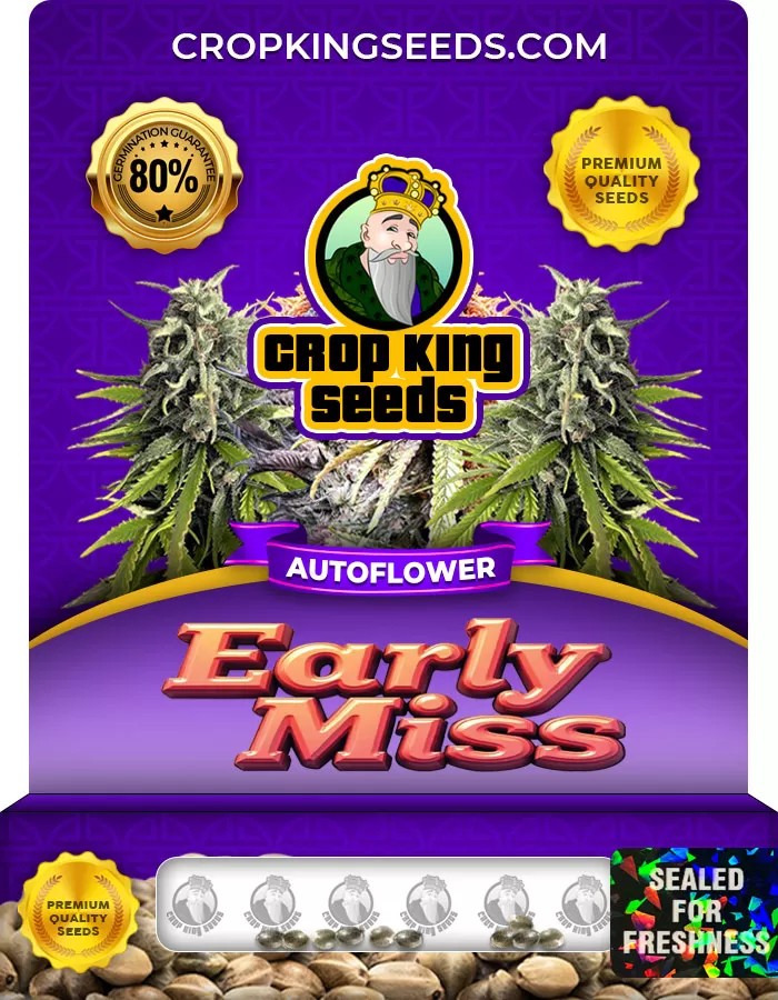 Early Miss Autoflower Marijuana Seeds