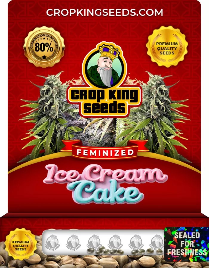 Ice Cream Cake Feminized Marijuana Seeds
