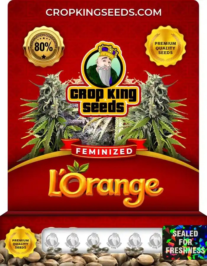 L’orange Strain Feminized Marijuana Seeds