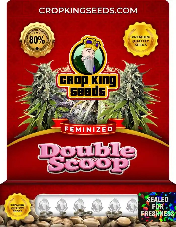Double Scoop Feminized Marijuana Seeds