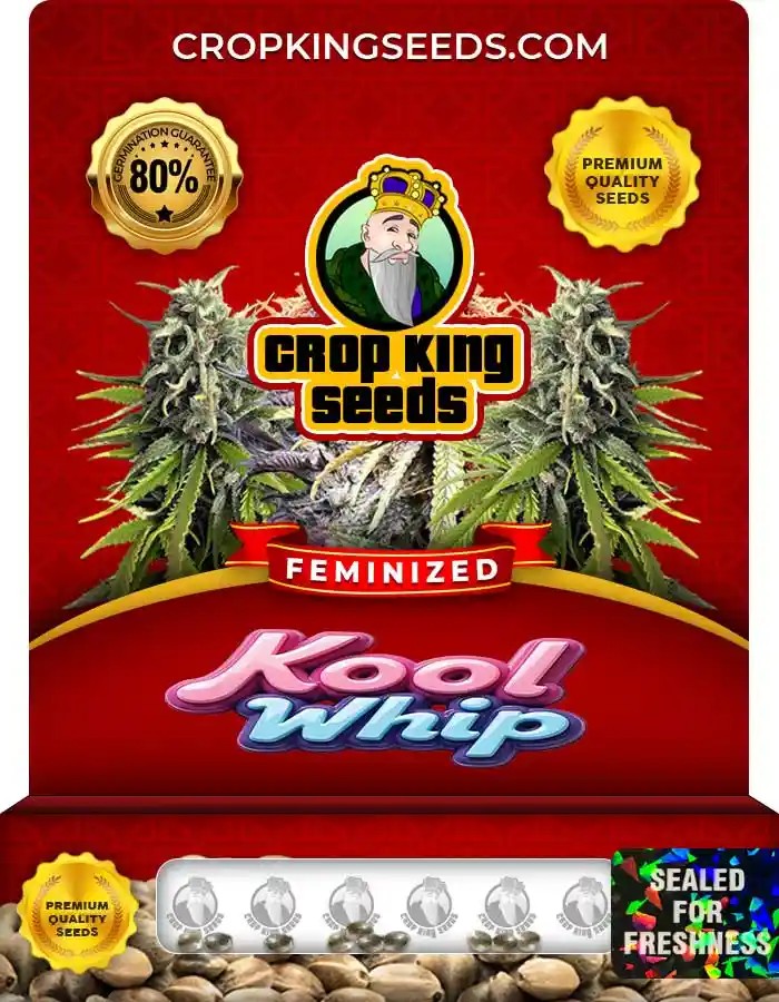 Kool Whip Strain Feminized Marijuana Seeds