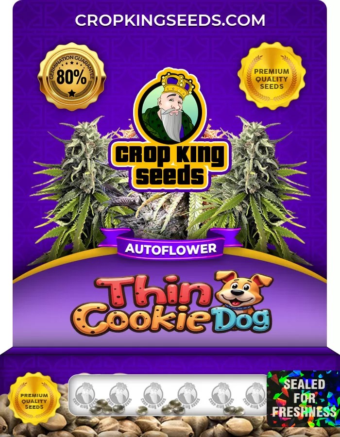 Thin Cookie Dog Autoflower Marijuana Seeds