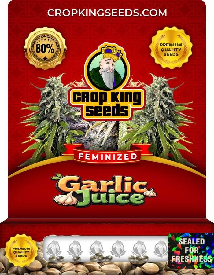 Garlic Juice Strain Feminized Marijuana Seeds