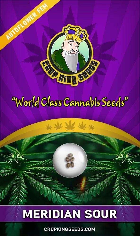 Meridian Sour Strain Autoflowering Feminized Marijuana Seeds