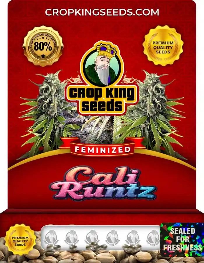 Cali Runtz Feminized Seeds