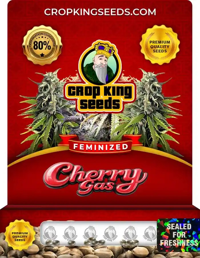 Cherry Gas Feminized Seeds