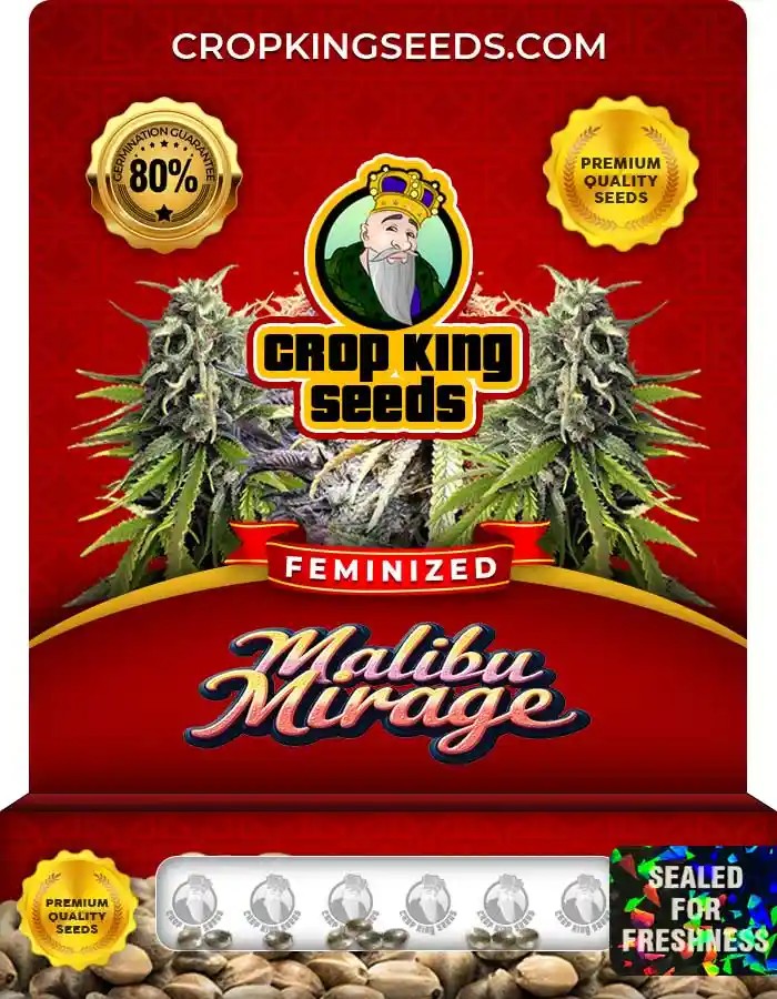 Malibu Mirage Feminized Seeds