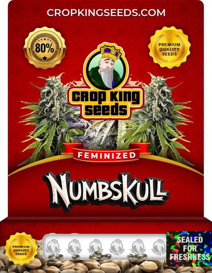 Numbskull Feminized Seeds