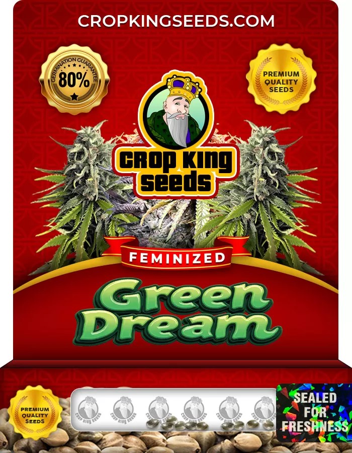 Green Dream Feminized Marijuana Seeds