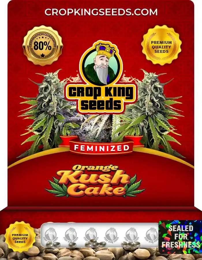 Orange Kush Cake Feminized Marijuana Seeds