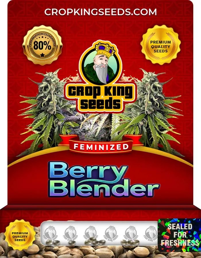 Berry Blender Strain Feminized Seeds