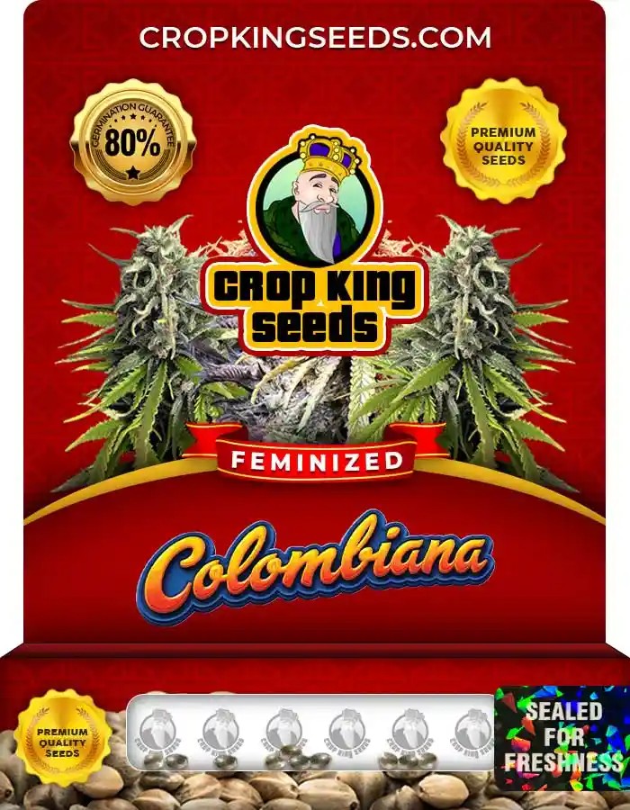 Colombiana Feminized Seeds