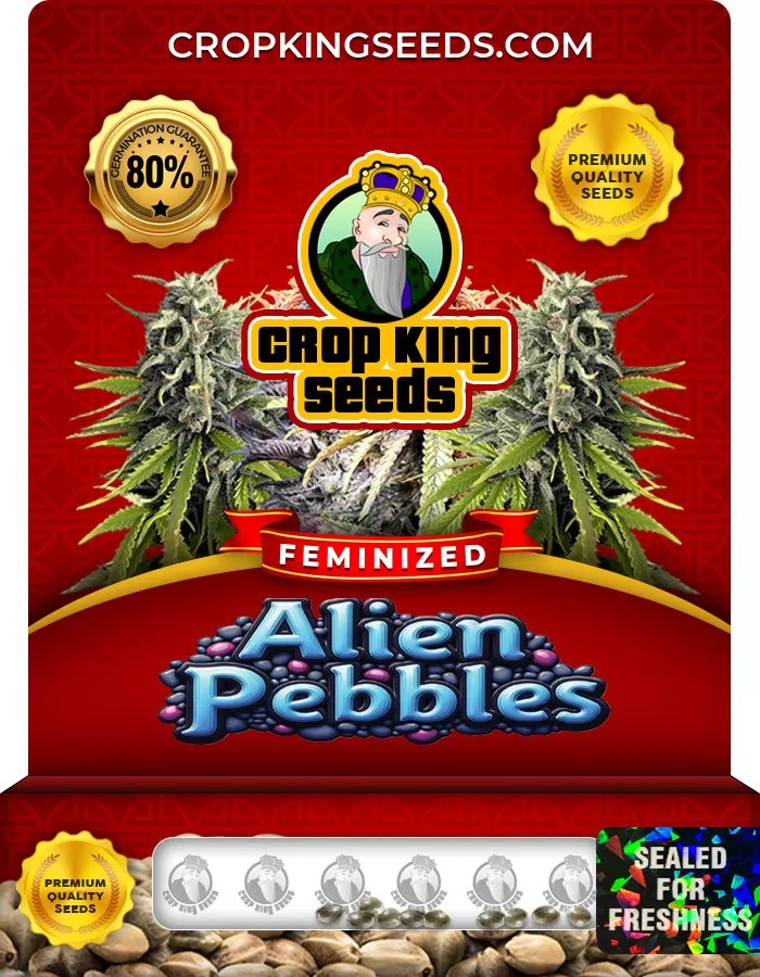 Alien Pebbles Feminized Marijuana Seeds