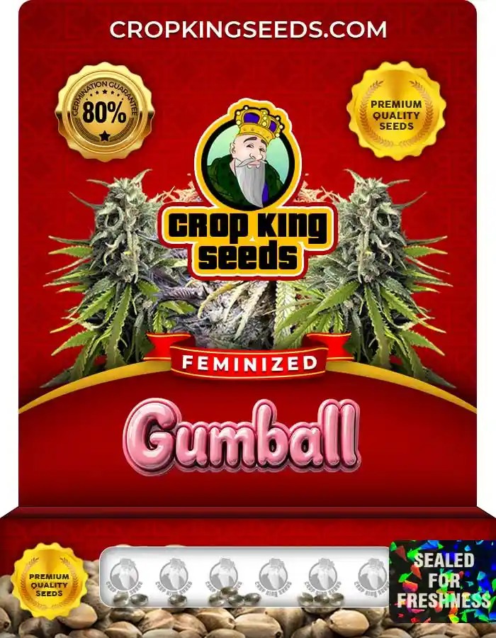 Gumball Strain Feminized Seeds