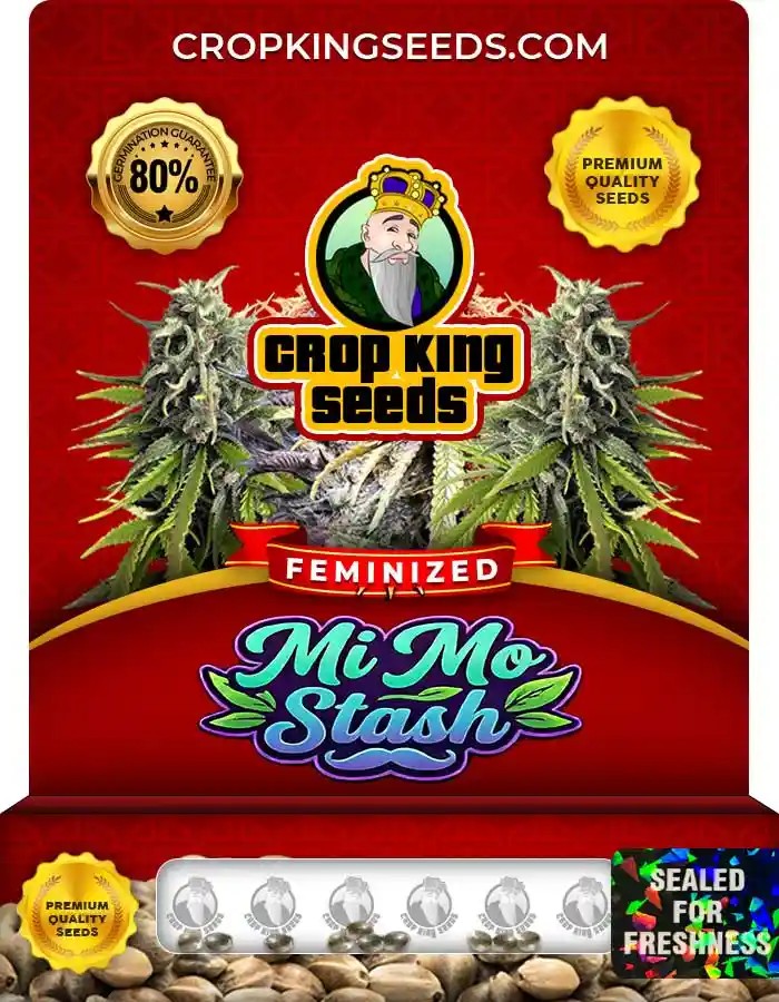 Mi Mo Stash Strain Feminized Seeds