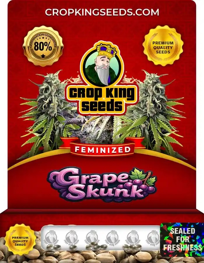 Grape Skunk Feminized Seeds