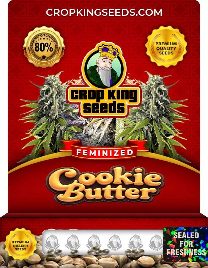 Cookie Butter Strain Feminized Marijuana Seeds