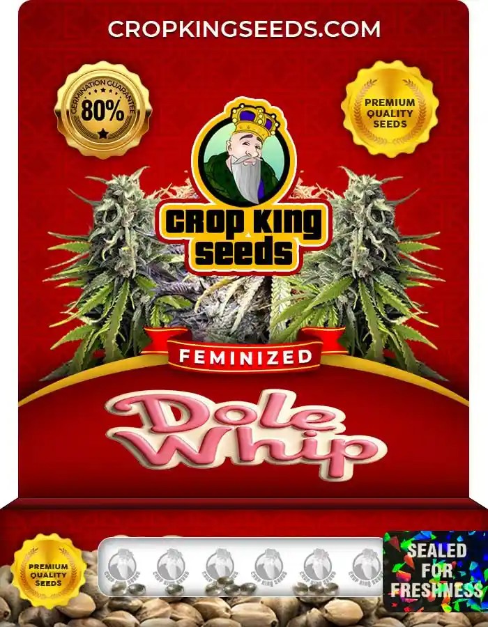 Dole Whip Strain Feminized Marijuana Seeds