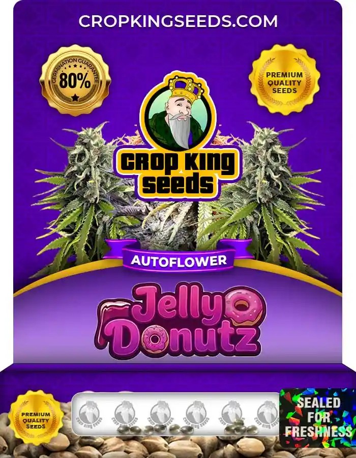 Jelly Donutz Autoflower Seeds
