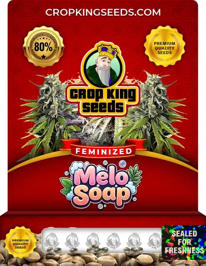 Melo Soap Strain Feminized Seeds