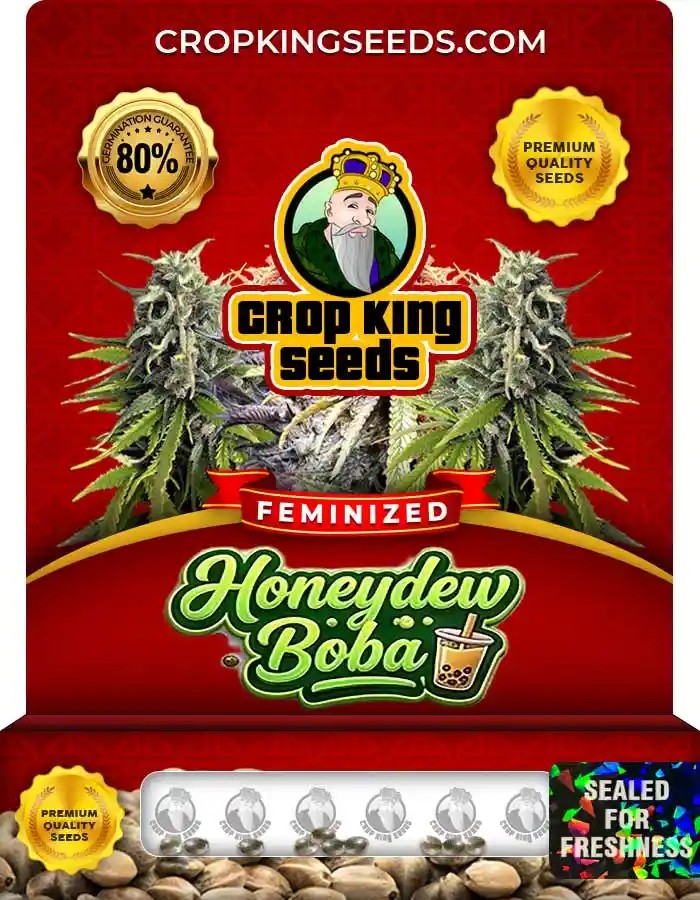 Honeydew Boba Feminized Seeds
