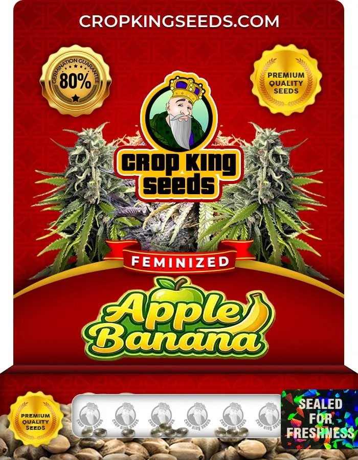 Apple Banana Strain Feminized Seeds