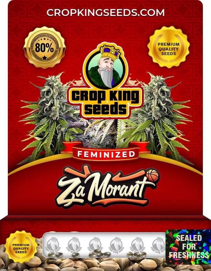 Za Morant Feminized Seeds