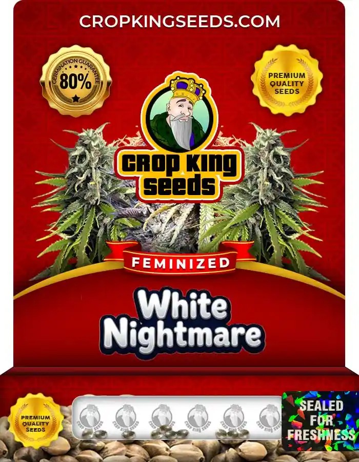White Nightmare Strain Feminized Marijuana Seeds