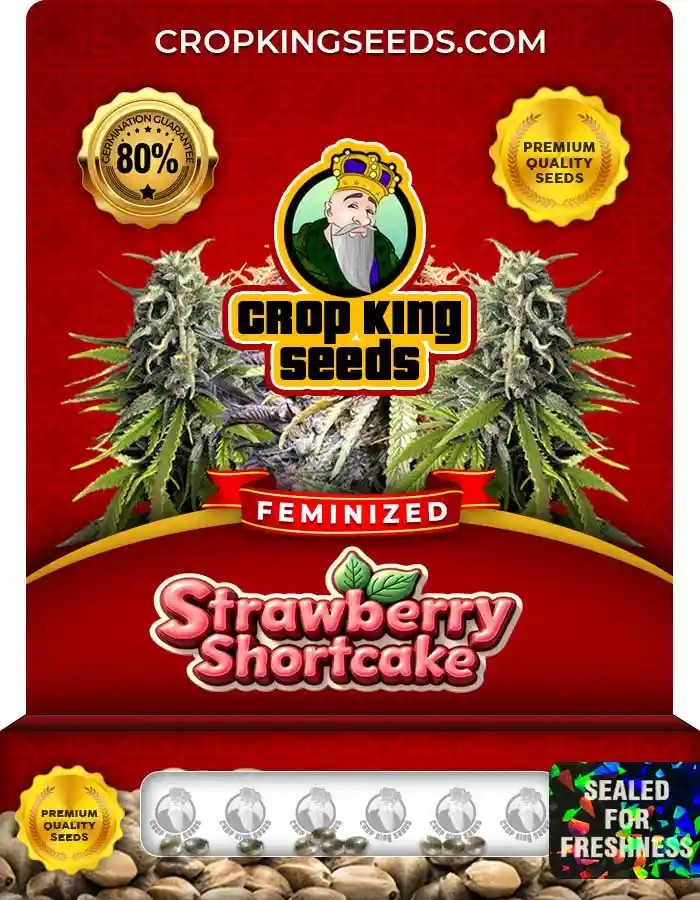 Strawberry Shortcake Strain Feminized Marijuana Seeds